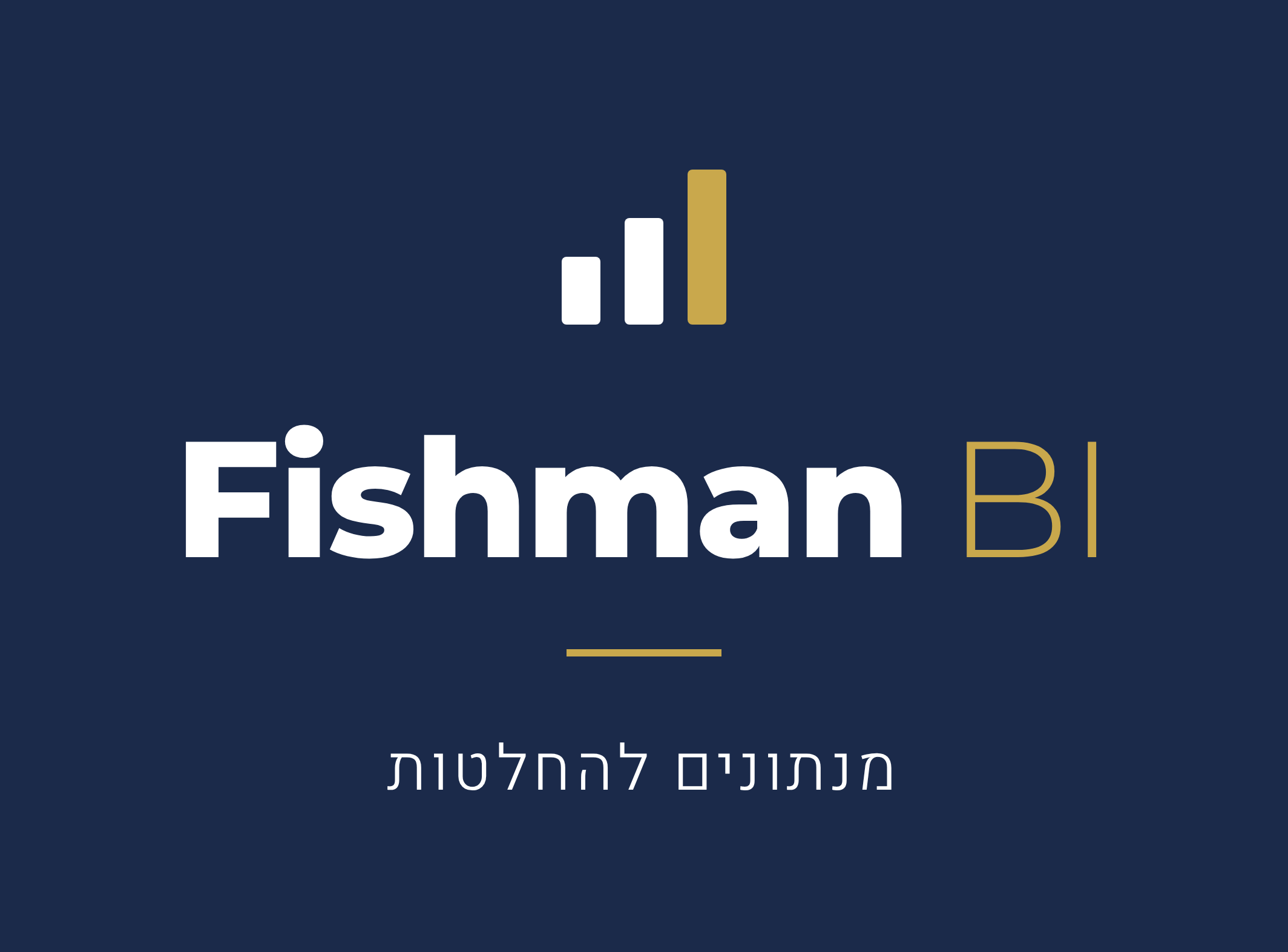 Fishman BI — מנתונים להחלטות