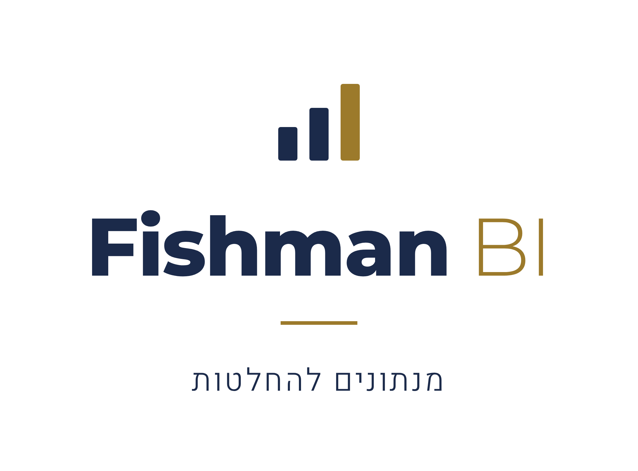 Fishman BI — מנתונים להחלטות